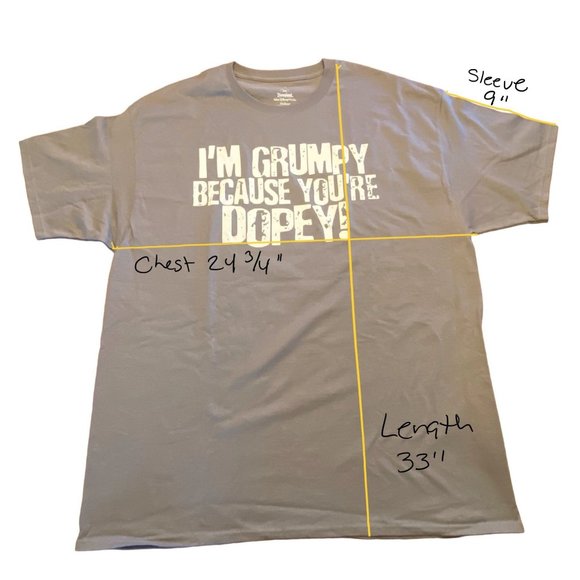 Disneyland I'm Grumpy Because You're Dopey 2XL Gray T Shirt - Picture 2 of 10